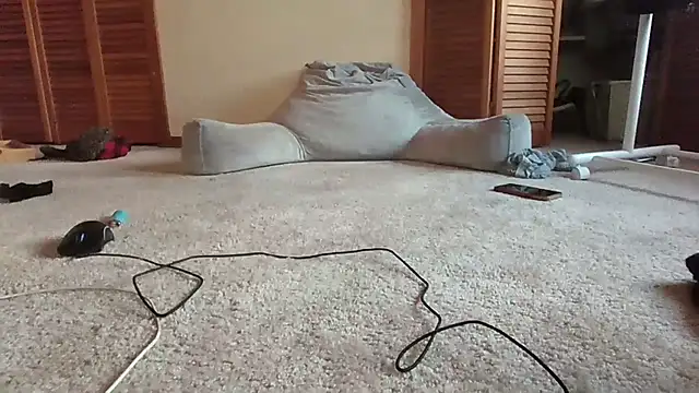 cashmasterzobistone webcam