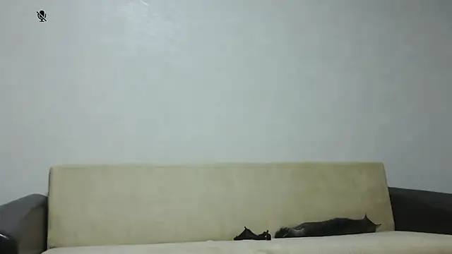 aylinblushing webcam
