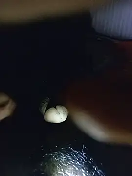 BigDick10inbig webcam
