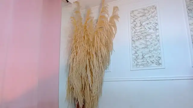 Danella_houston webcam