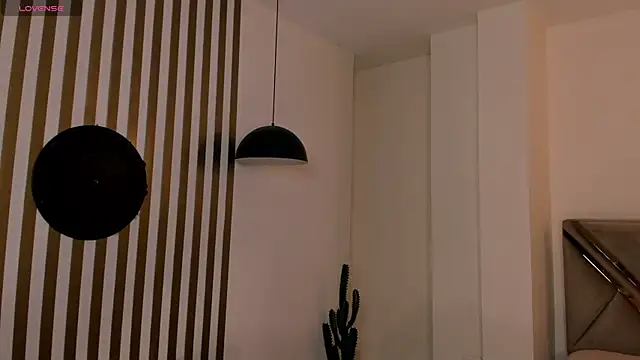 LaurentRosse1 webcam