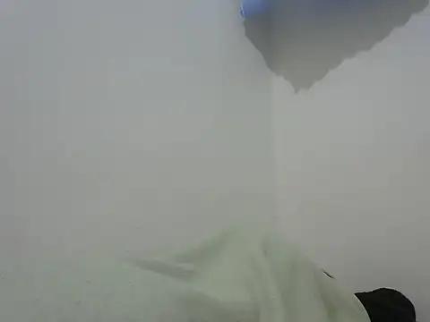 sweetshaniz webcam