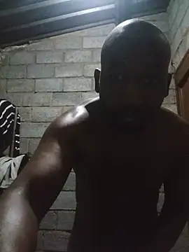 WiseDi webcam