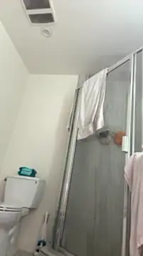 alldogsgotoheaven webcam
