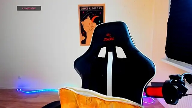 your_tora webcam