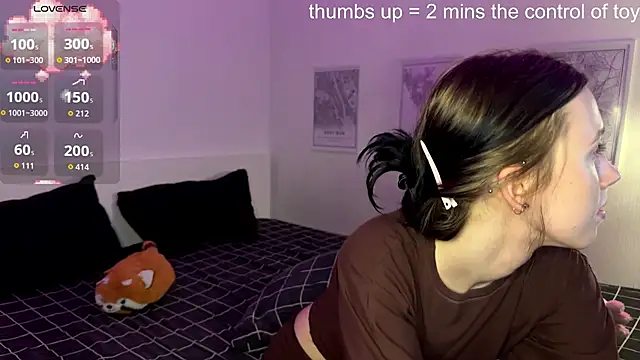 KayaNorth webcam