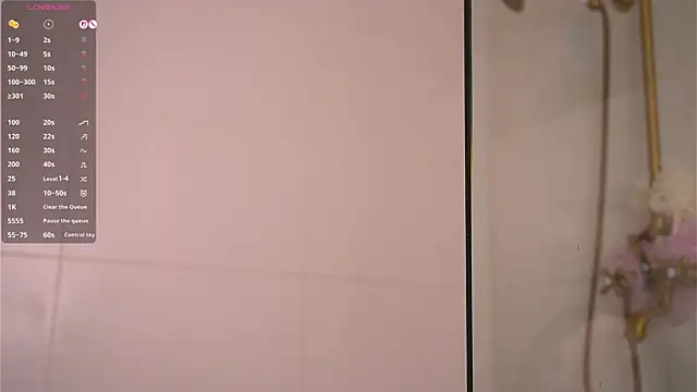 LanelleFreemyer webcam