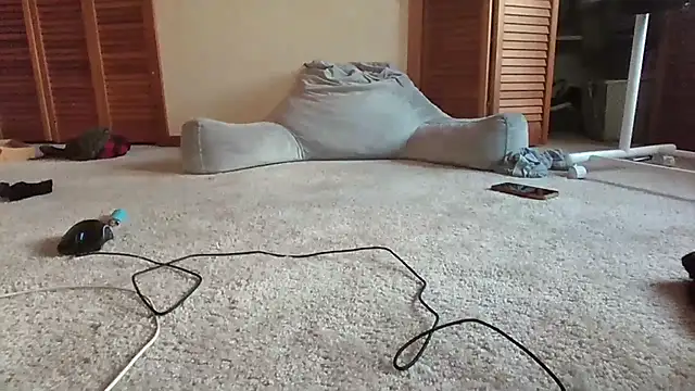cashmasterzobistone webcam