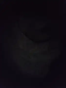 HarshiStar7