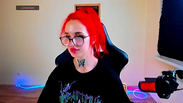 your_tora webcam