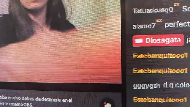Diosagata webcam