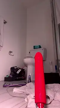 alldogsgotoheaven webcam