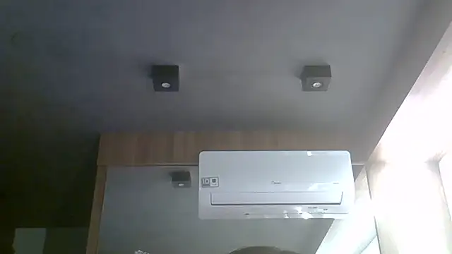 SkinnyKitten webcam