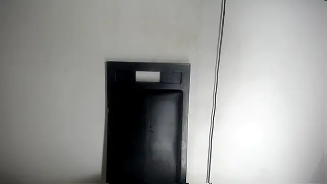 Fox_Loves webcam