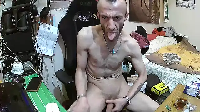 Aktorihann webcam