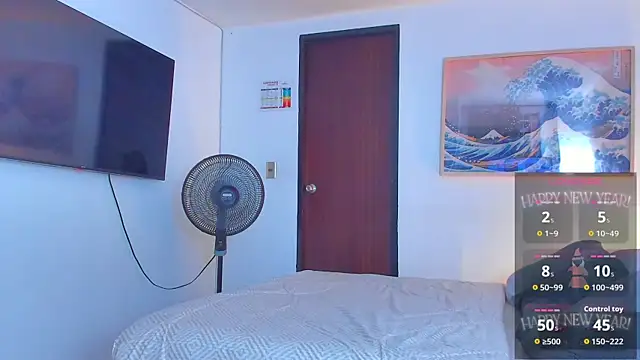 RJBarto webcam