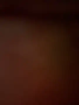Vanneskk webcam