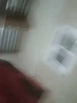 Em3033 webcam