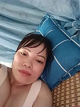 Sana-vn webcam