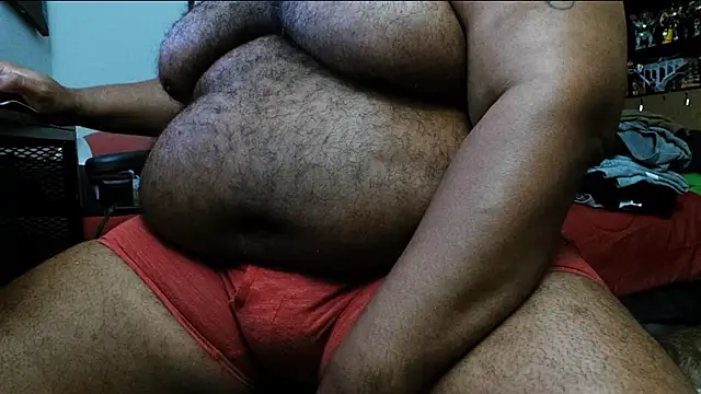 Henshinbear webcam
