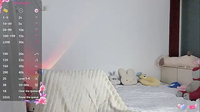 _flipped_ webcam