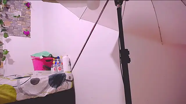 MaidenGame webcam
