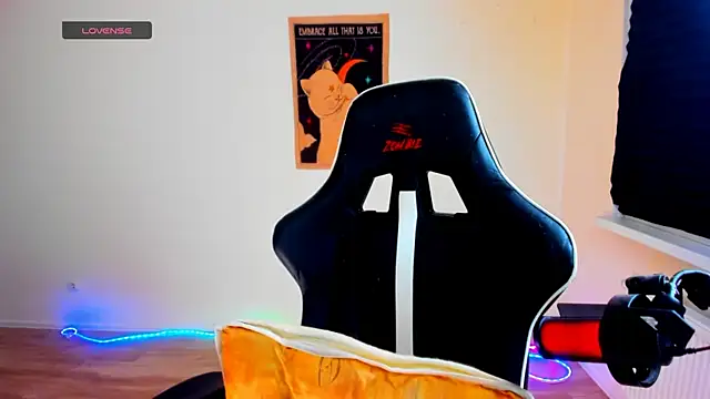 your_tora webcam
