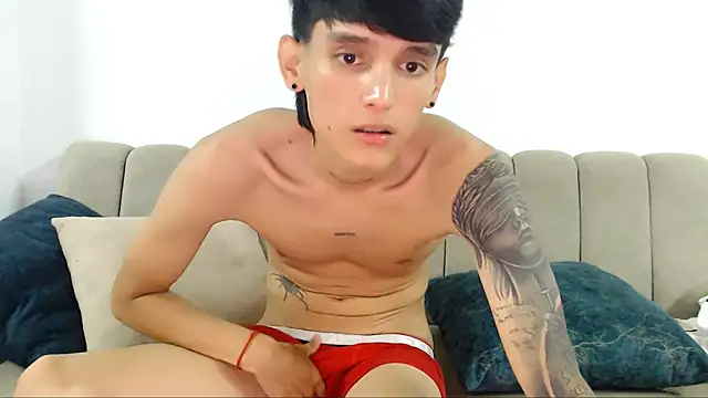 SWT2003 webcam