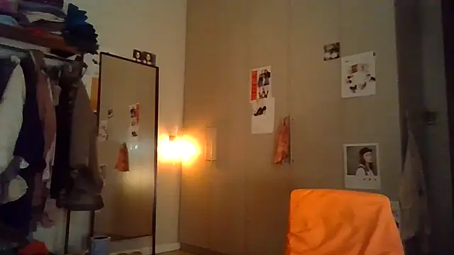 plsmecha webcam