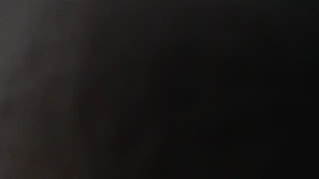 alexam_gal@xh