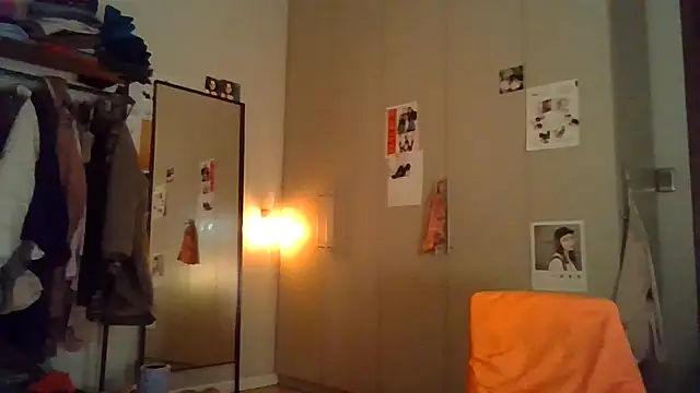 plsmecha webcam
