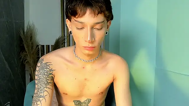 AndyWiilliams webcam