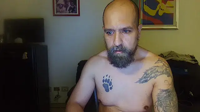 AMIRDIB2025 webcam