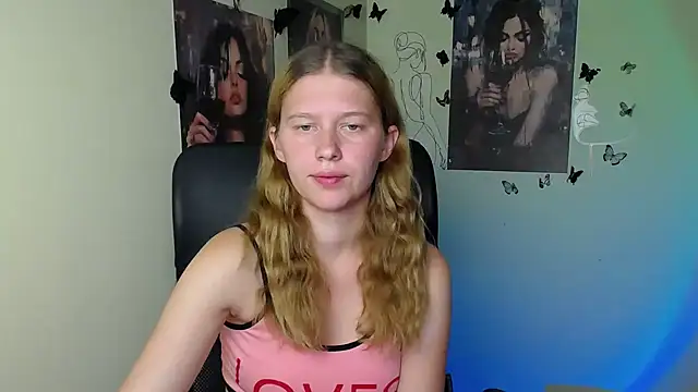 StellaCRL webcam