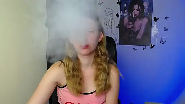 StellaCRL webcam