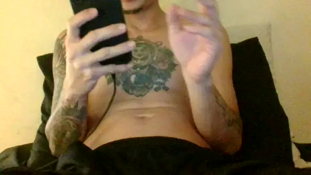 Icepappi webcam