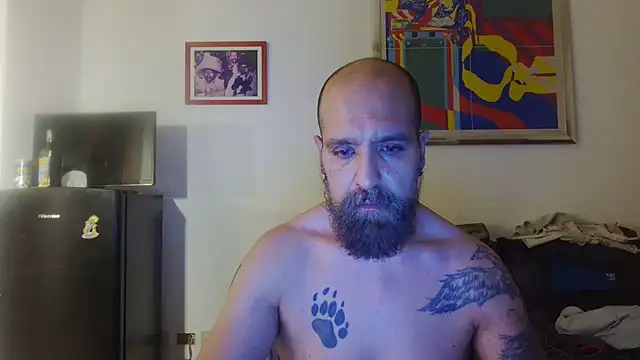 AMIRDIB2025 webcam
