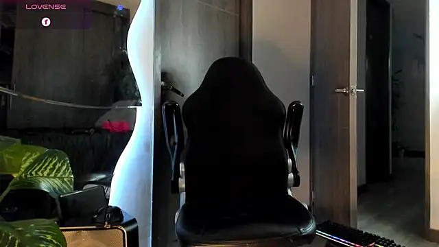 Dimitri_Bass Live Web Cam Show