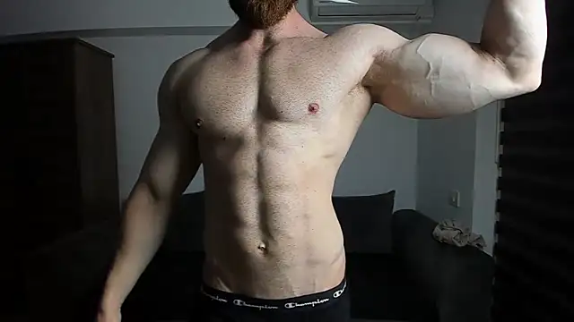 ZkkBlitz webcam