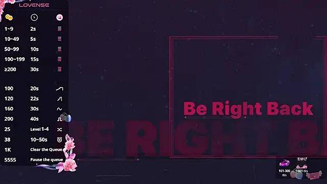 _flipped_ webcam