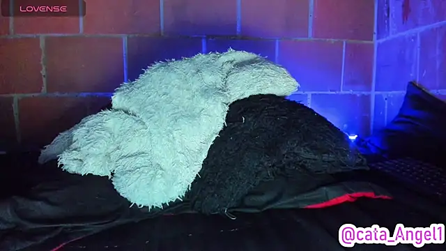 Cata-angel webcam