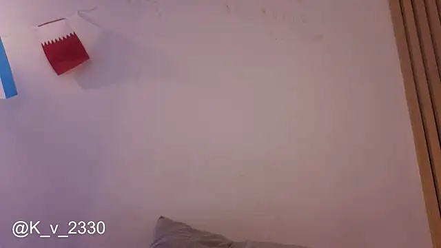 sofiesoft webcam