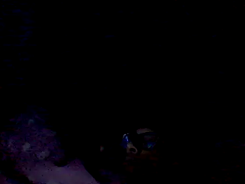 Mariy_