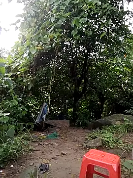 doggy-00 webcam