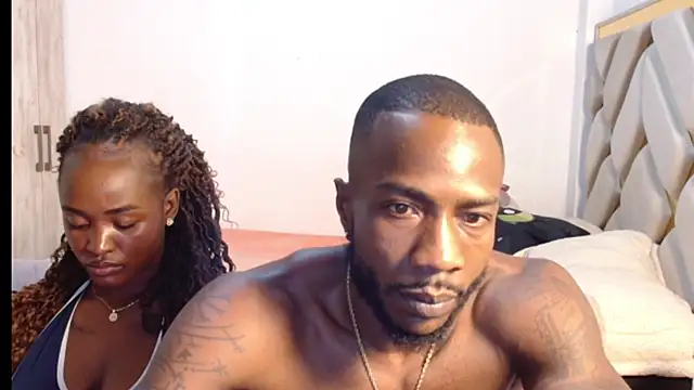 laaspri webcam