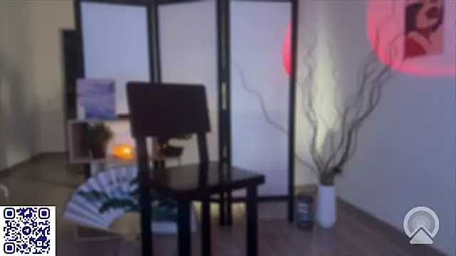 secrettape webcam