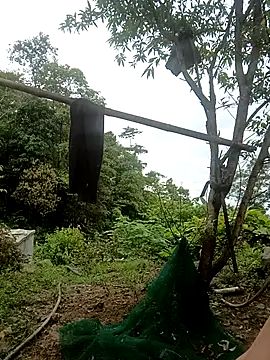 nangmo webcam