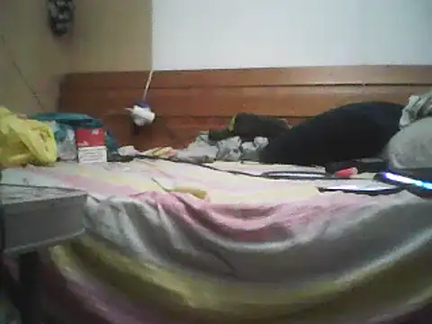 Fundy37 webcam