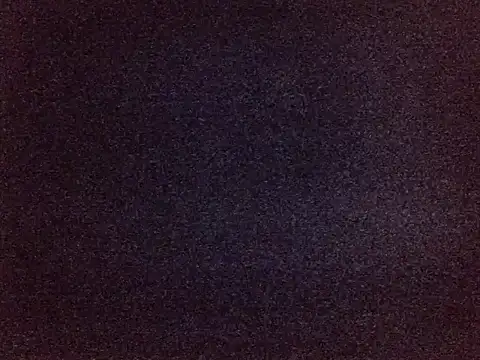 Rittiee webcam