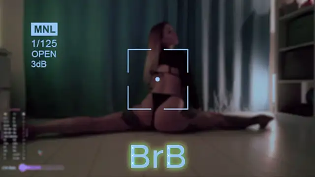 AskAlexa webcam